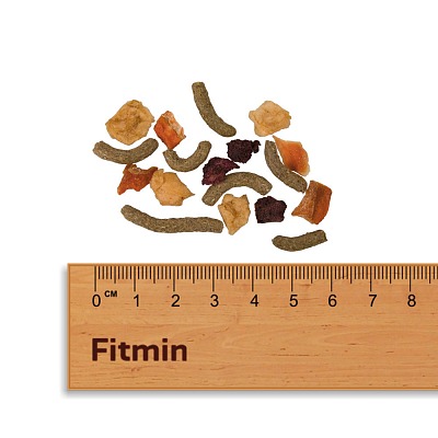 Fitmin For Friends musli dla małych gryzoni 500 g DATA WAŻNOŚCI DO 28.06.2024